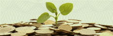 pay per click programs
